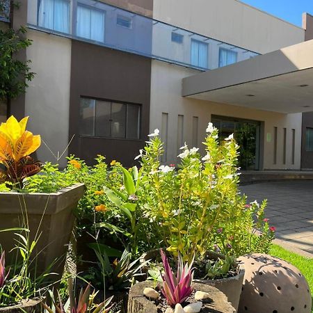 Maximus Business Hotel Ji-Paraná Extérieur photo