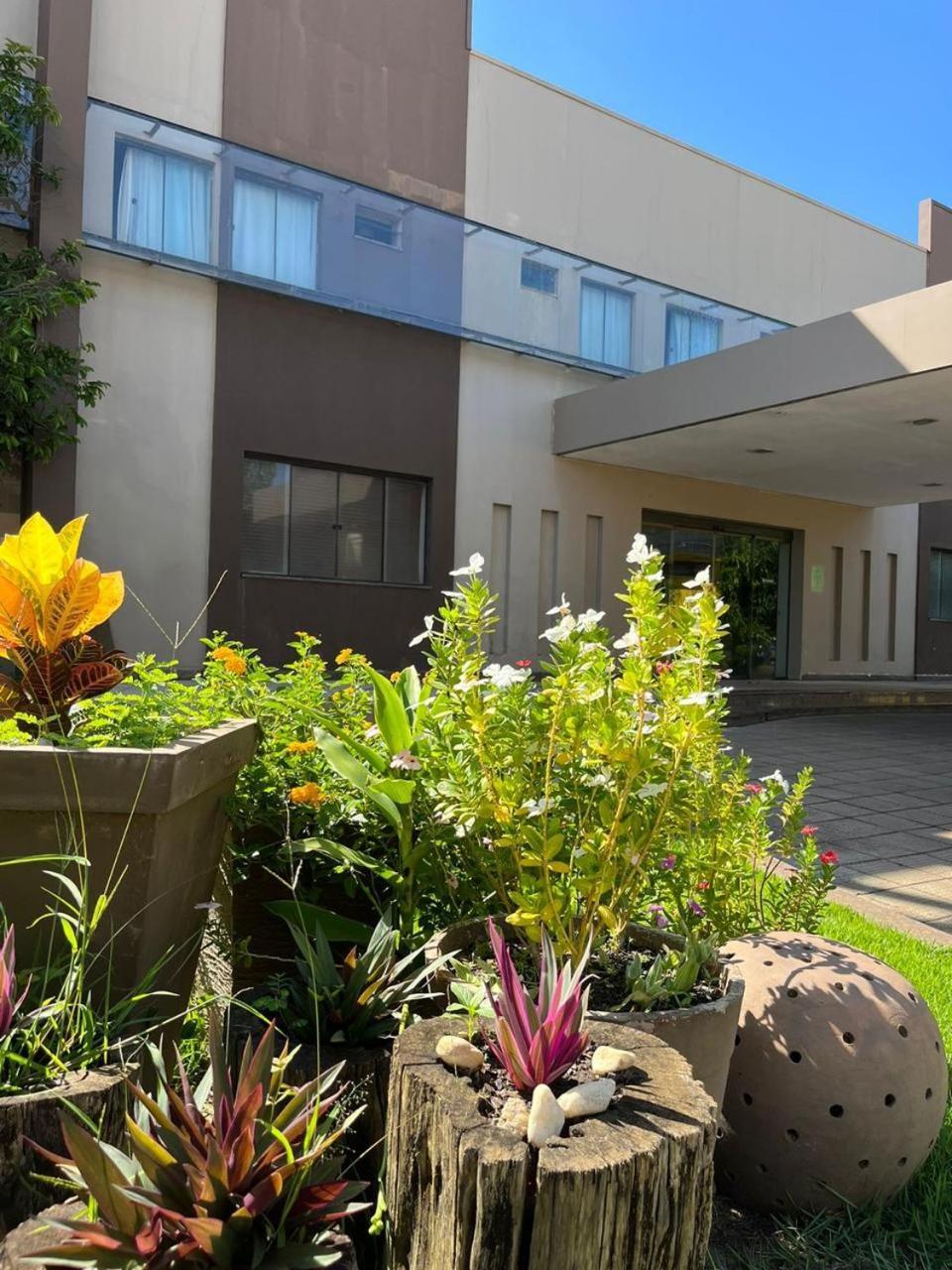 Maximus Business Hotel Ji-Paraná Extérieur photo